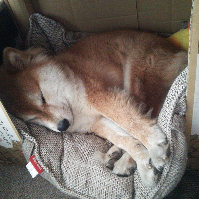 _绿色能源竞技赛：践行环保运动新理念_，绿色节能环保知识竞赛