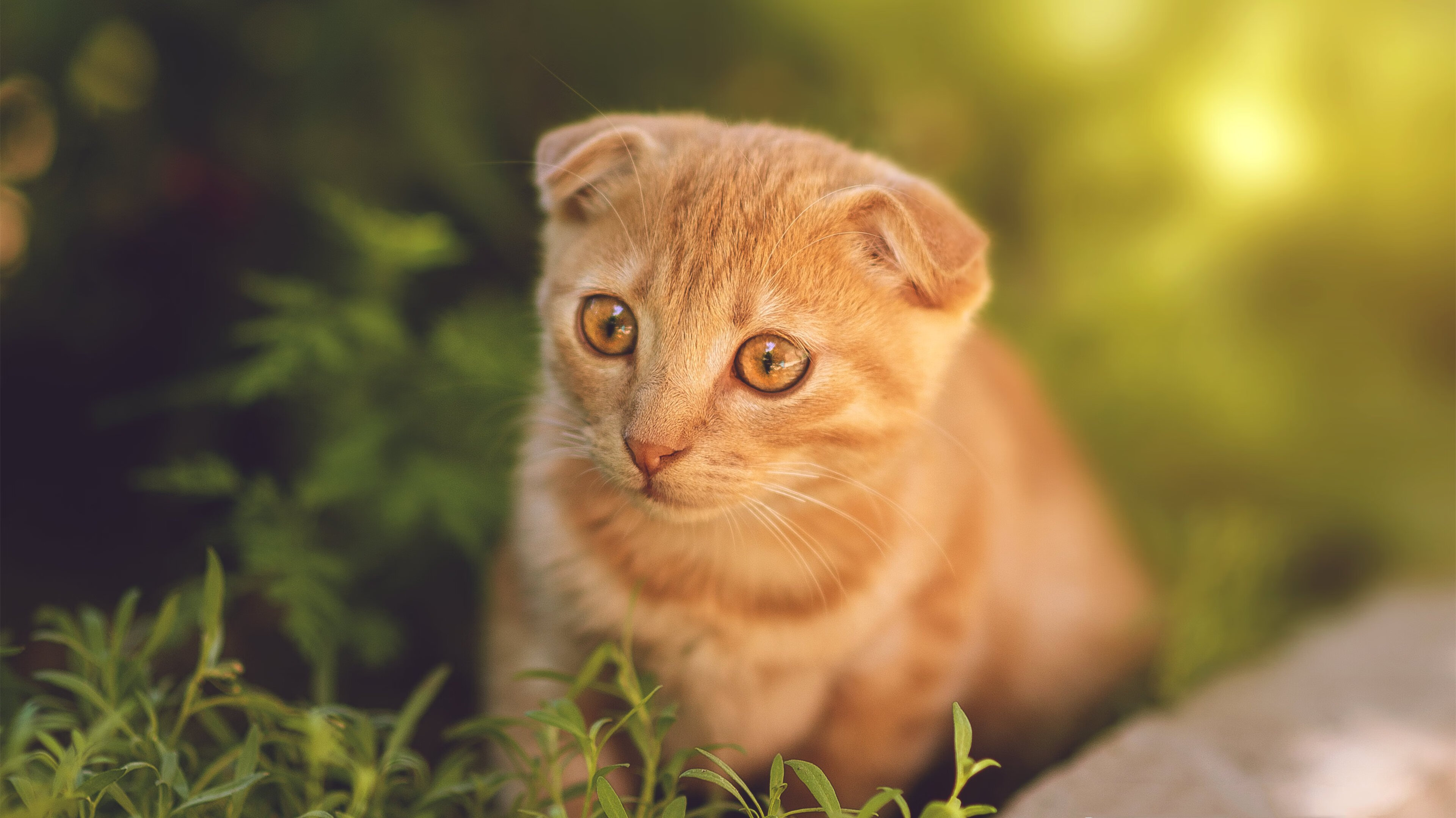 _虚拟竞技游艺馆：沉浸式运动新空间_，虚拟竞技场