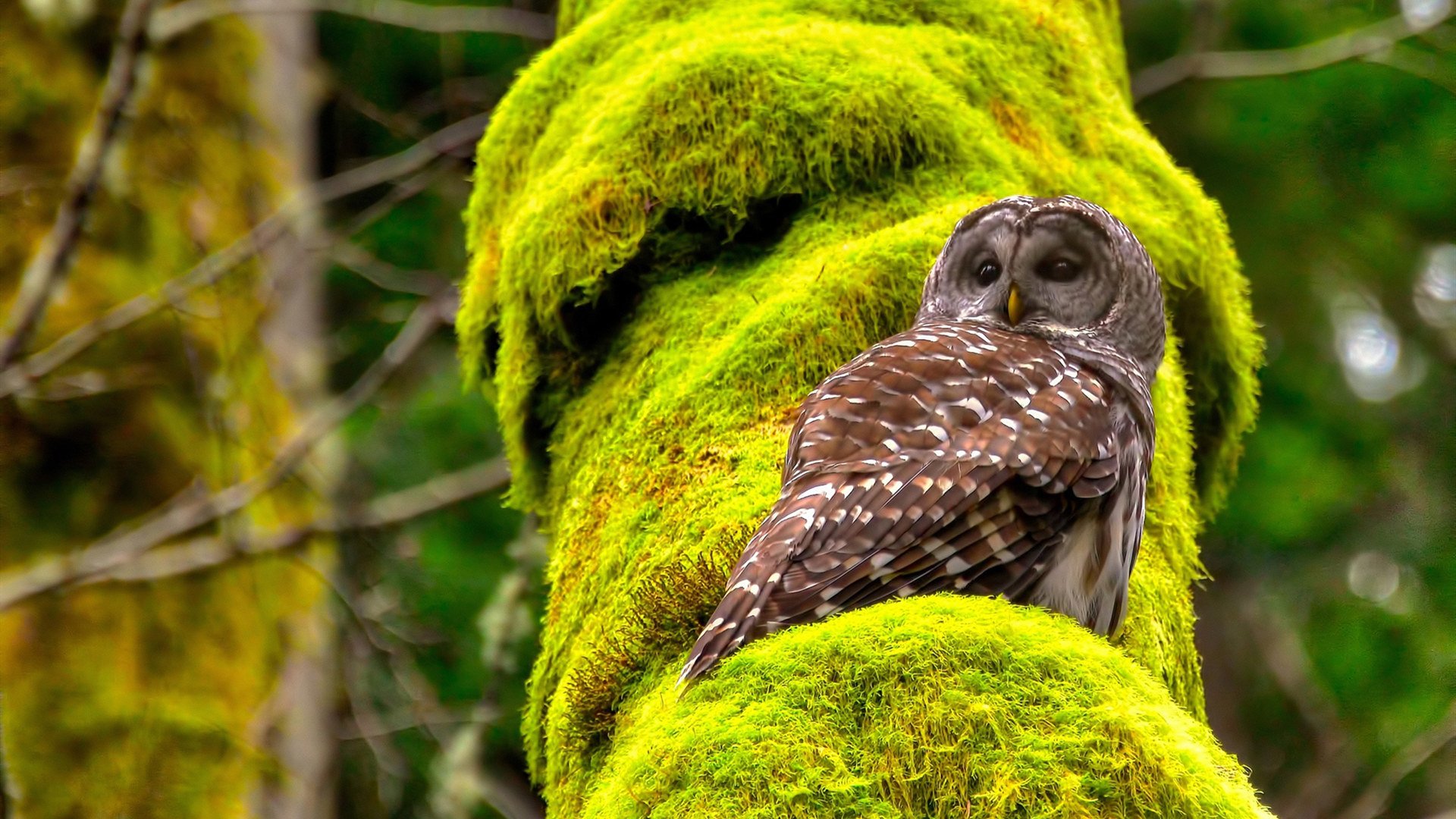 “震撼冲撞:惊心动魄的碰撞现场”,震撼一下