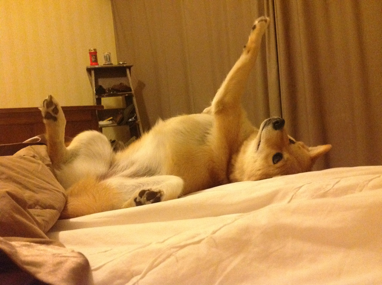 开云全站下载-【规则变革背后】联盟如何平衡公平、公正与竞技性？，lol公平性