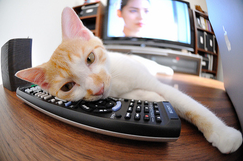 全民艺术运动会：全民参与的文化盛宴，全民艺术体验日