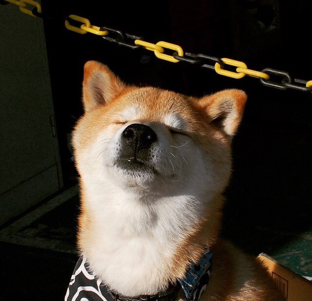 开云在线直播-哥伦比亚女足在巴黎奥运会比赛中表现出色，赢得奖品，哥伦比亚 男足